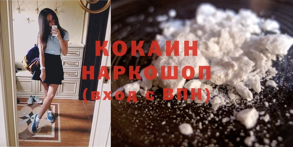 твердый Новозыбков