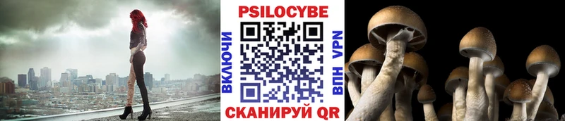 Галлюциногенные грибы Psilocybe  магазин продажи   Кудымкар 