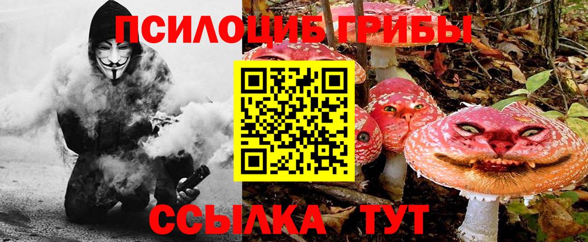 Псилоцибиновые грибы ЛСД  Вход с VPN  где купить наркоту  Галлюциногенные грибы Psilocybe  Кудымкар 