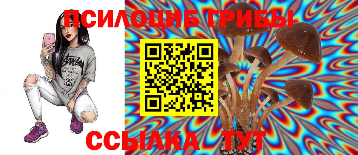 Псилоцибиновые грибы прущие грибы  где купить наркоту  Кудымкар 