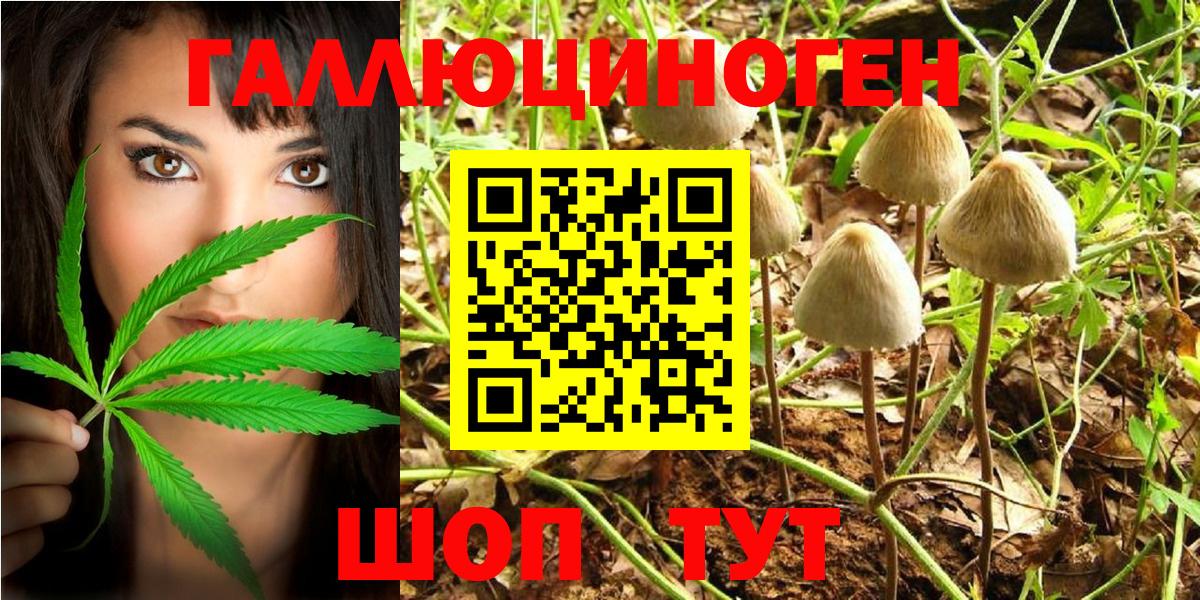 Псилоцибиновые грибы Magic Shrooms Кудымкар